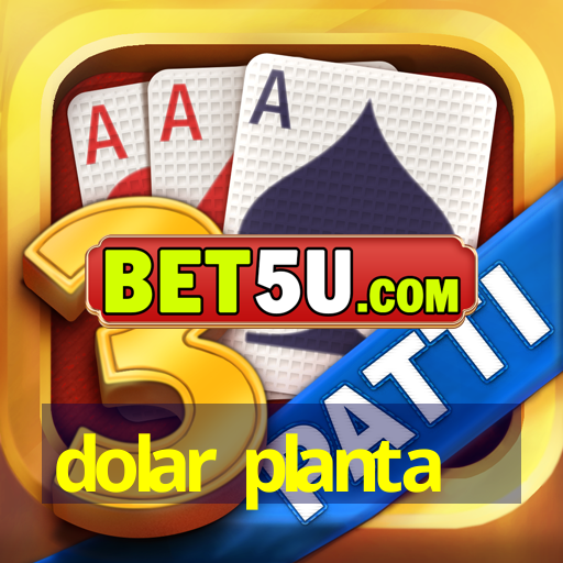 dolar planta